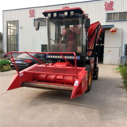 自走式青储机 现代农业的高效秸秆收割与青贮解决方案