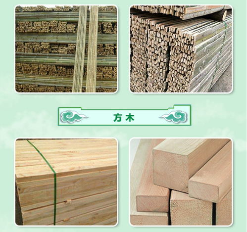 漯河竹笆生产厂家 圣卓建材以服务至上引领建筑建材行业